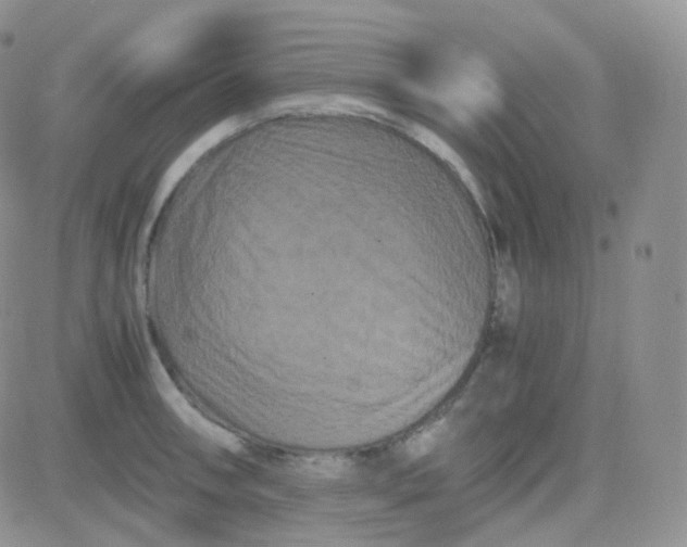 X0000081491090200701262047