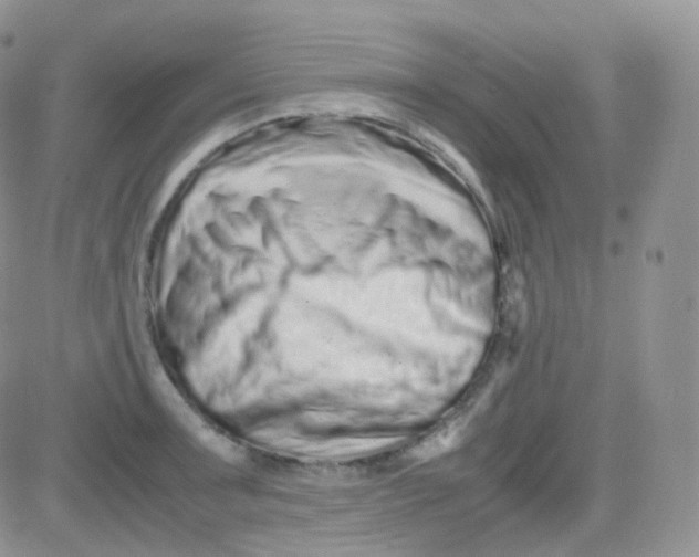 X0000081491091200701262047