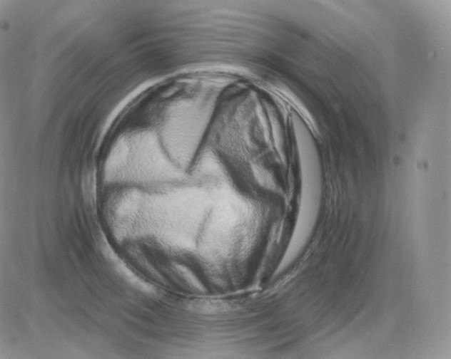 X0000081491092200701262047