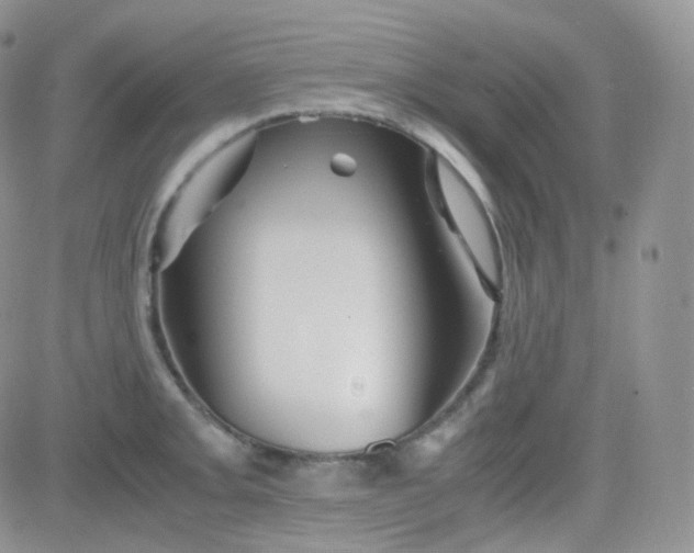 X0000081491093200701262047