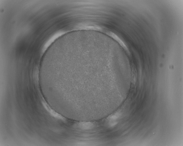 X0000081491094200701262047