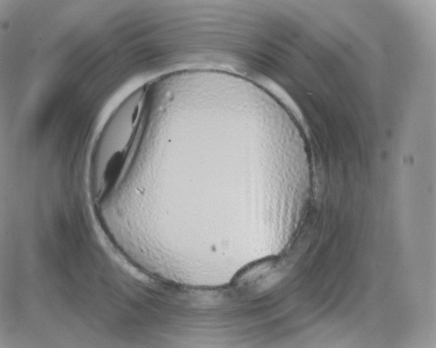 X0000081491096200701262047