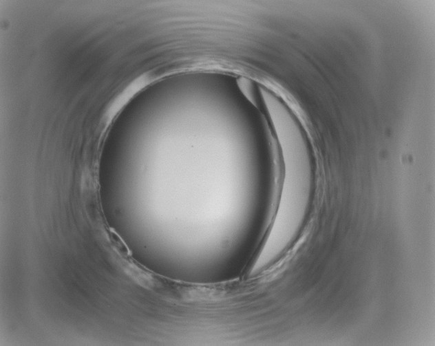 X0000081491097200701262047