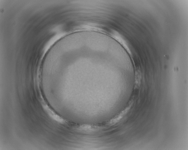 X0000081491098200701262047