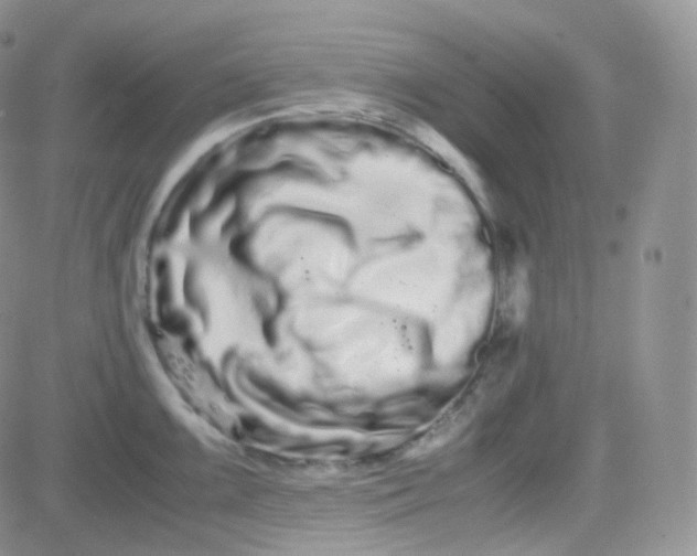 X0000081491099200701262047