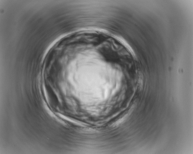 X0000081491100200701262047