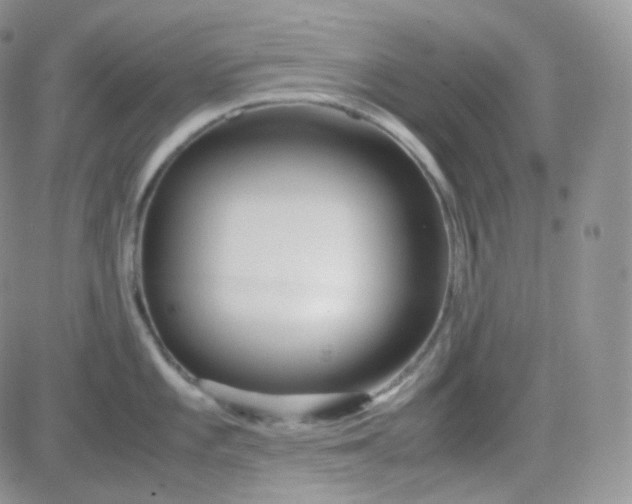 X0000081491101200701262047