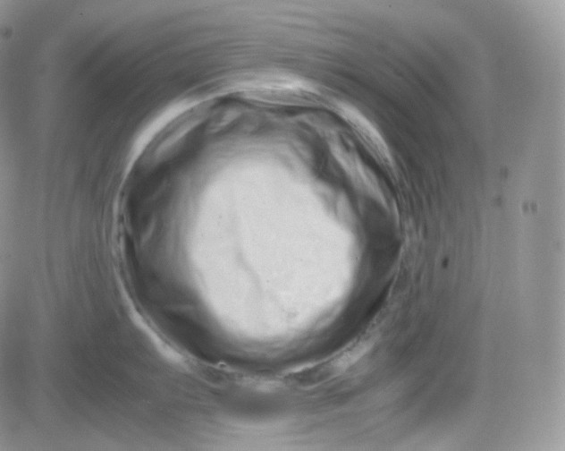 X0000081491103200701262047