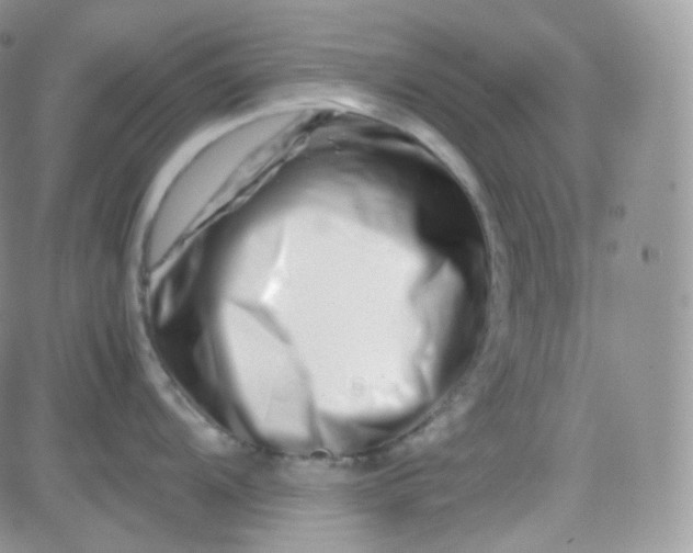 X0000081491104200701262047