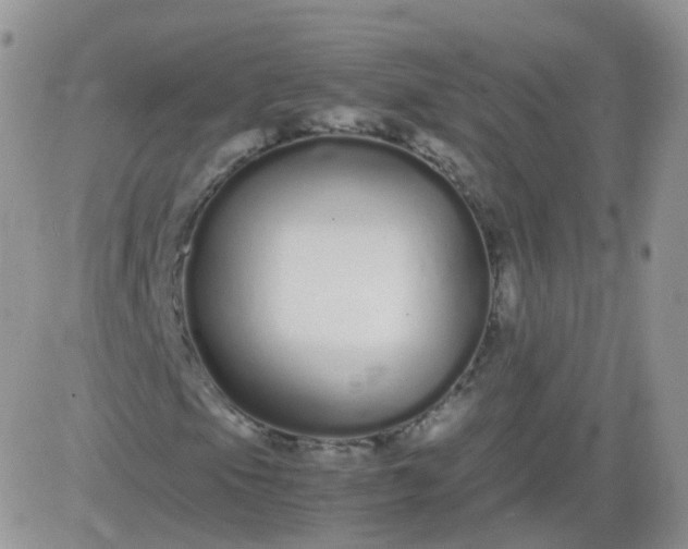 X0000081491105200701262046