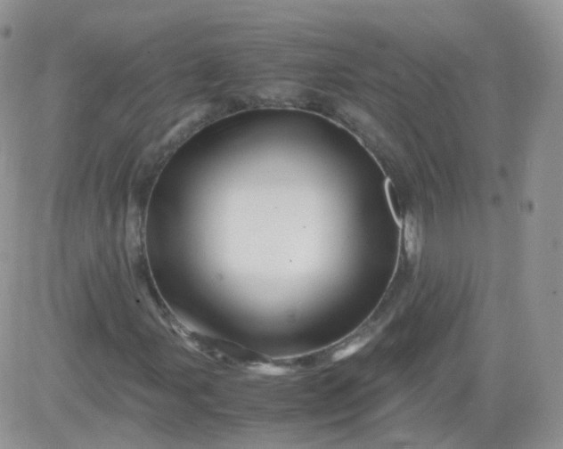 X0000081491107200701262046