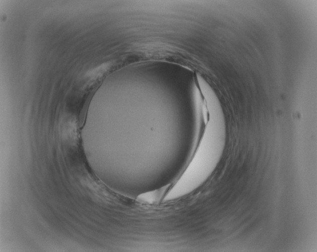 X0000081491108200701262046