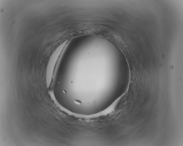 X0000081491109200701262046