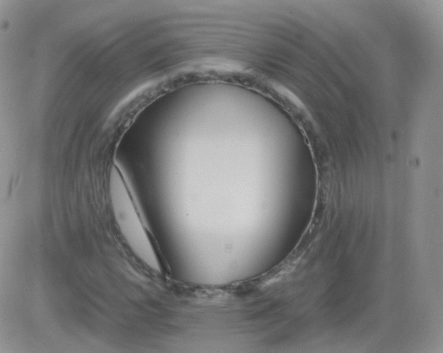 X0000081491112200701262047