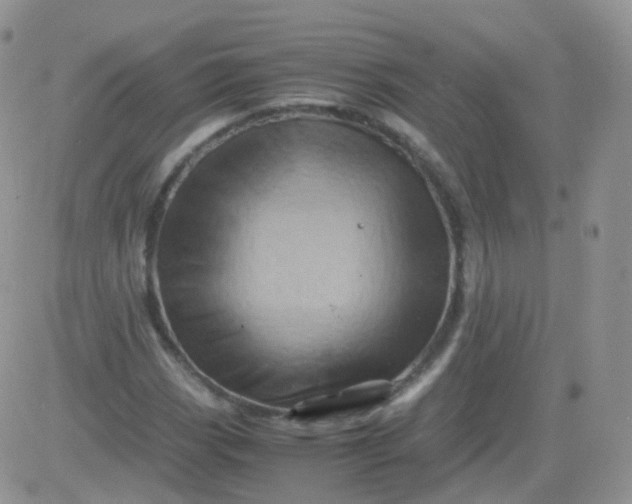 X0000081491113200701262047