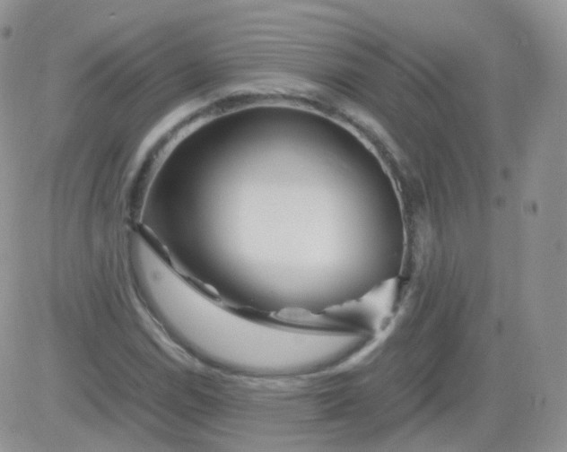 X0000081491114200701262047