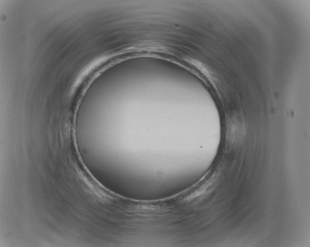 X0000081491115200701262047