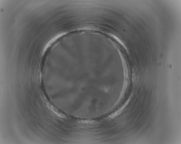 X0000081491117200701262047