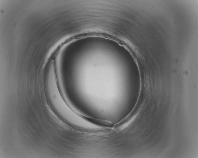 X0000081491118200701262047