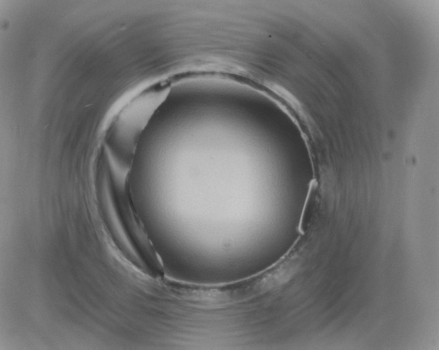 X0000081491120200701262047