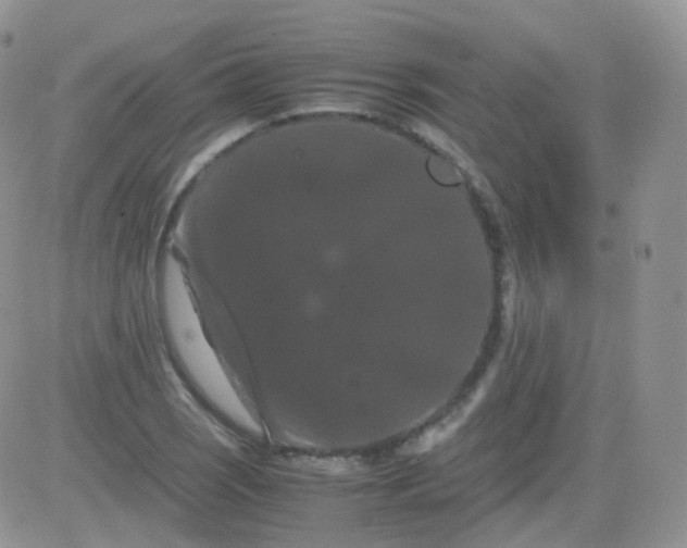 X0000081491121200701262047