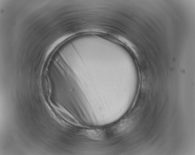 X0000081491125200701262047