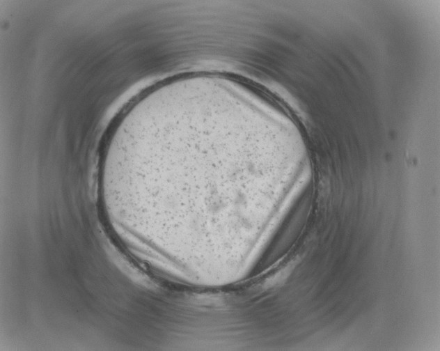 X0000081491126200701262047