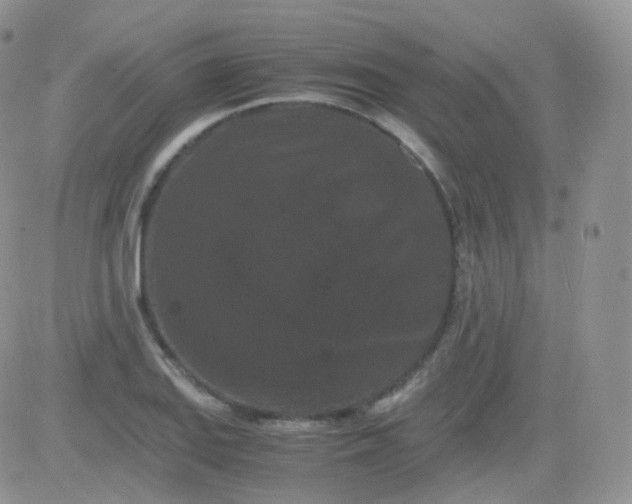 X0000081491127200701262047