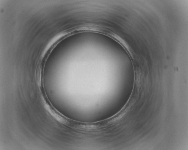 X0000081491131200701262047