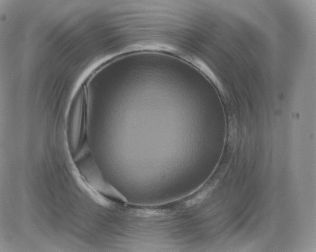 X0000081491132200701262047