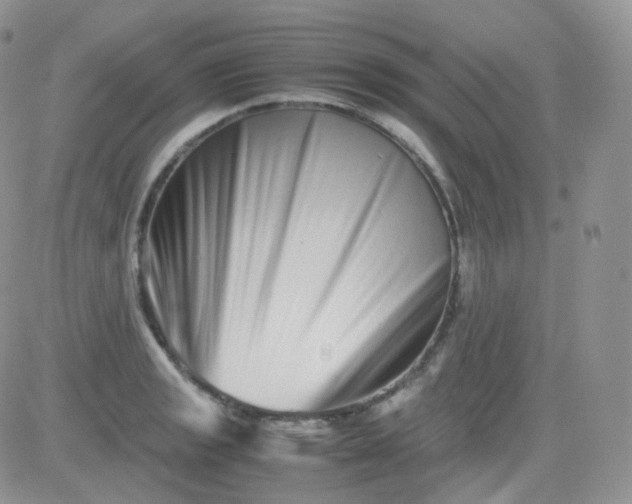 X0000081491133200701262047