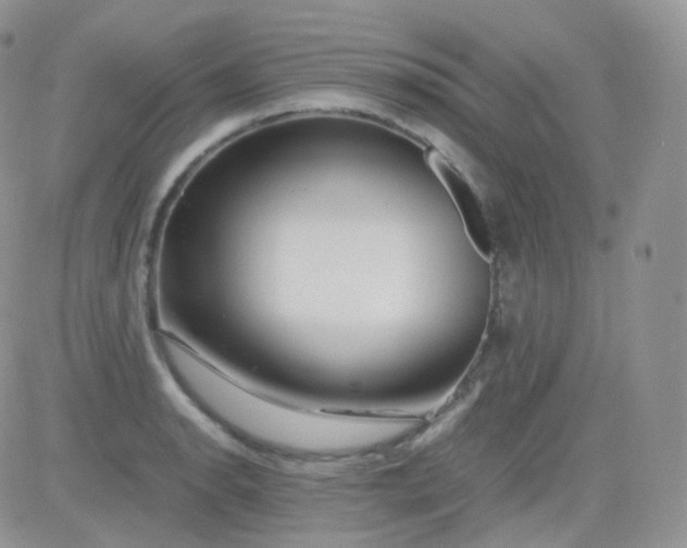 X0000081491134200701262047