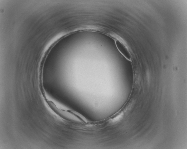 X0000081491135200701262047