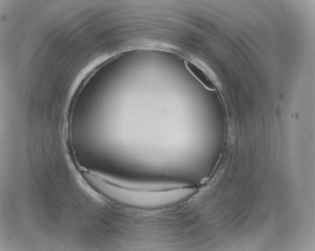 X0000081491136200701262047