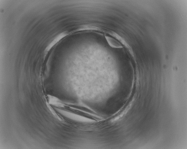 X0000081491137200701262047