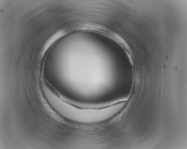 X0000081491138200701262047