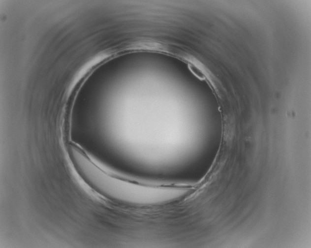 X0000081491139200701262047