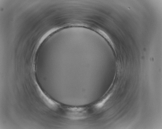 X0000081491141200701262047