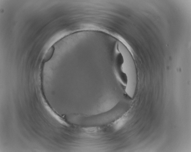 X0000081491142200701262047