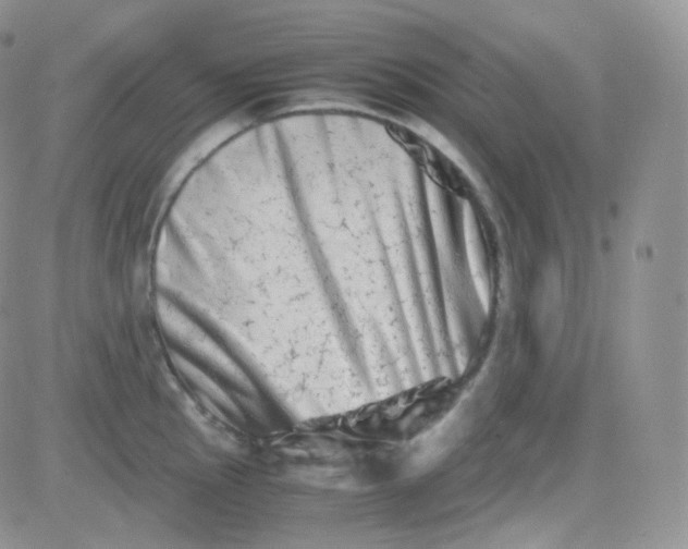 X0000081491145200701262047