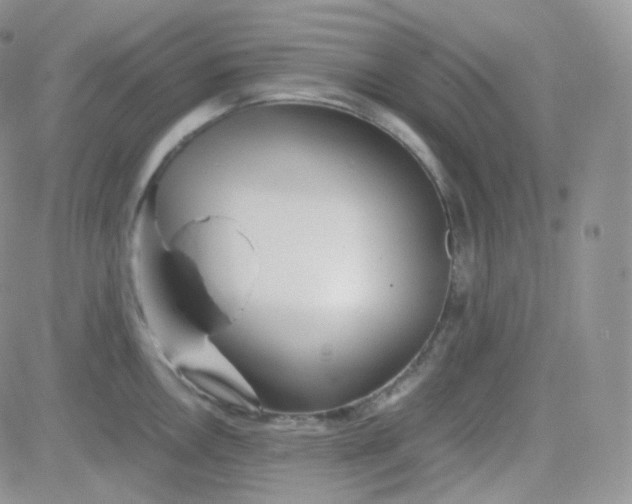 X0000081491146200701262047