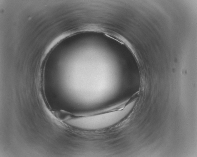 X0000081491147200701262047