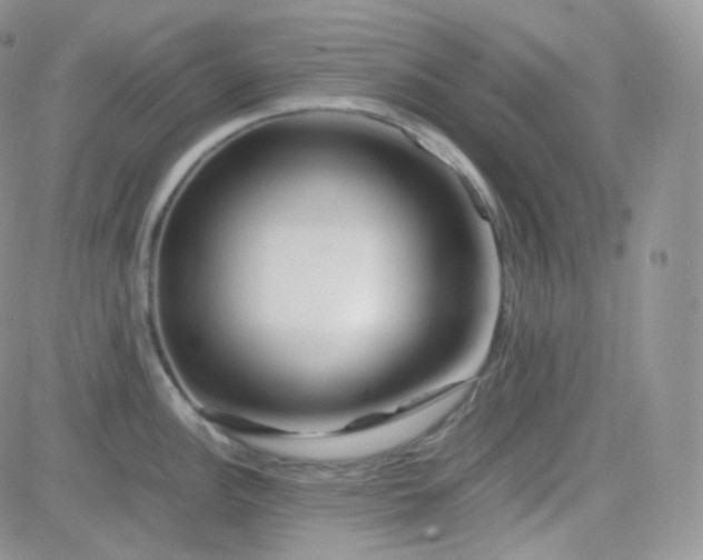 X0000081491148200701262047