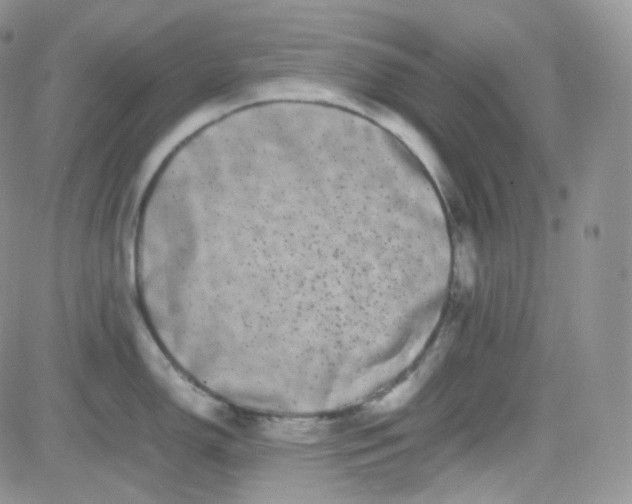 X0000081491150200701262047