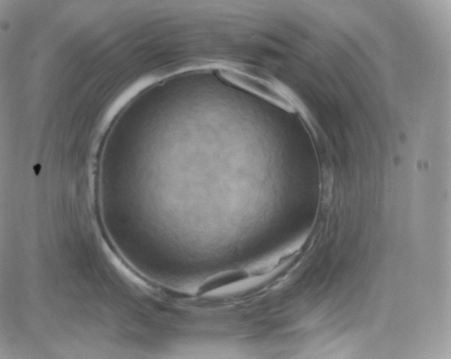 X0000081491151200701262047