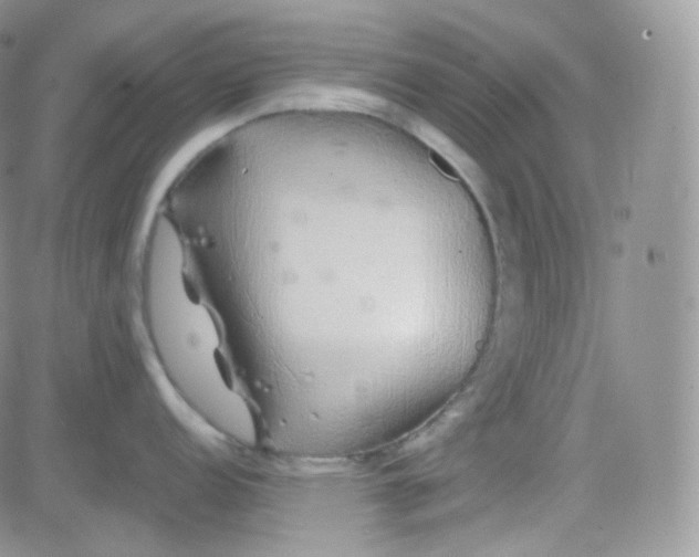 X0000081491152200701262047