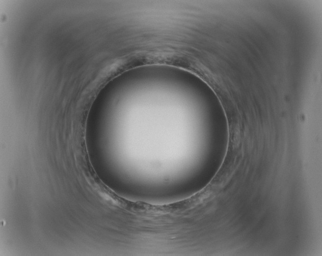 X0000081491153200701262046