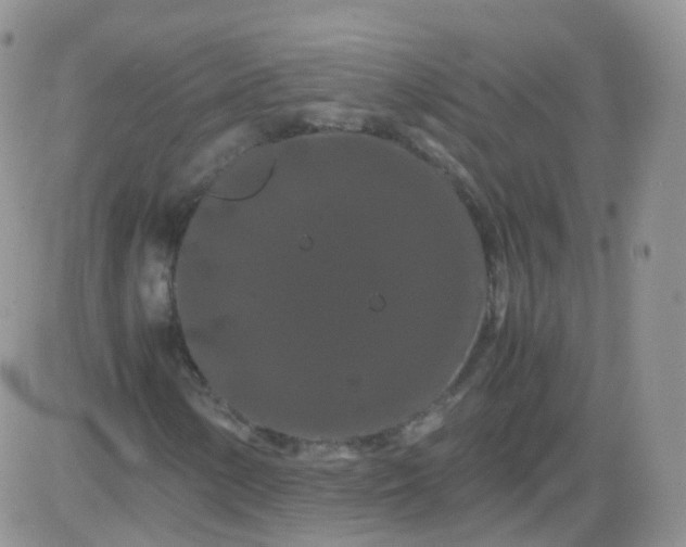 X0000081491154200701262046