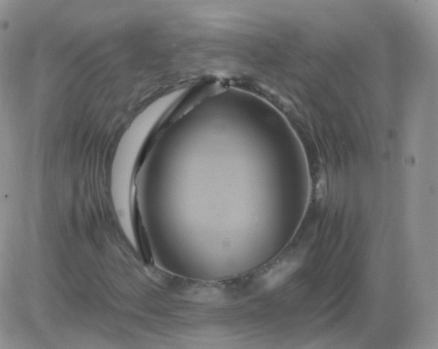 X0000081491156200701262046