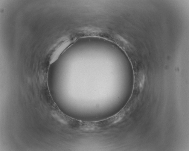 X0000081491157200701262046